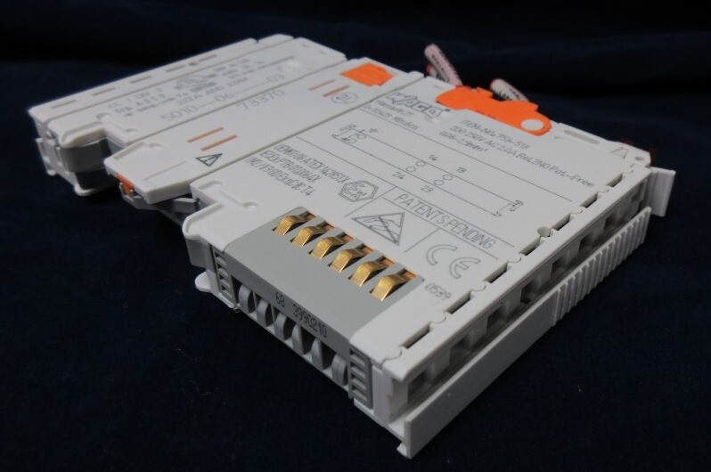 WAGO 753-513 2-CHANNEL RELAY OUTPUT, 250 VAC, 30 VDC, 2 AMPS, 2NO, DIN-35 RAIL
