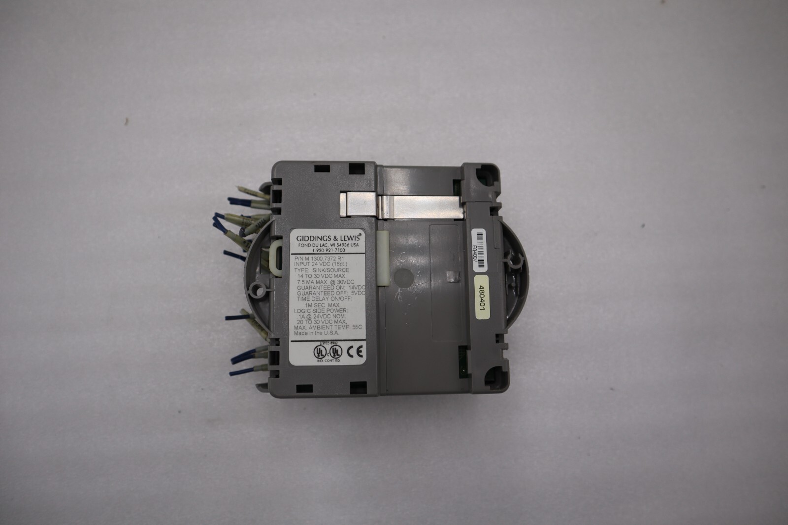 Giddings & Lewis M.1300.7372 R1 Input Module 24VDC SINK/SOURCE STOCK 5166A