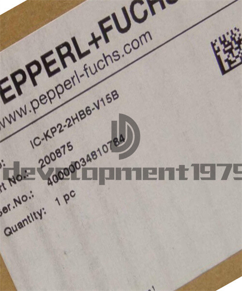 ONE NEW Pepperl+Fuchs Module IC-KP2-2HB6-V15B 200875