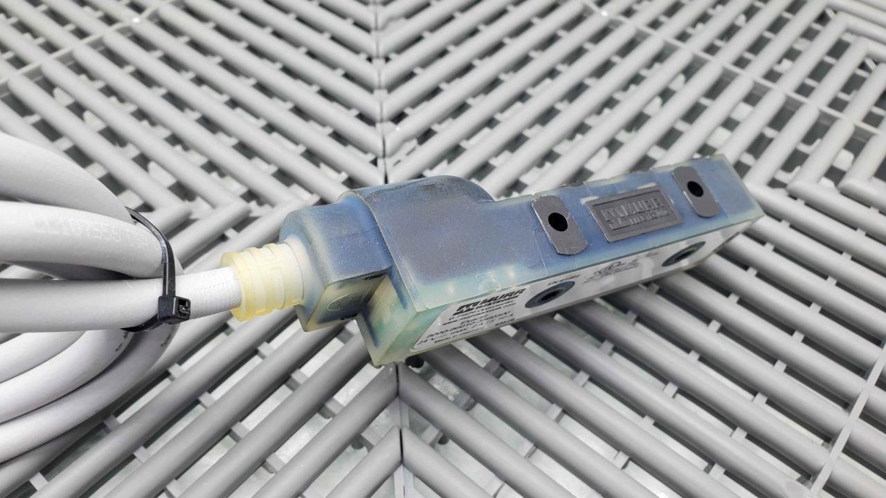 Murr Elektronik 8000-86010-3560500 Exact8 3-Pole 6XM8 Molded Housing Bus Module