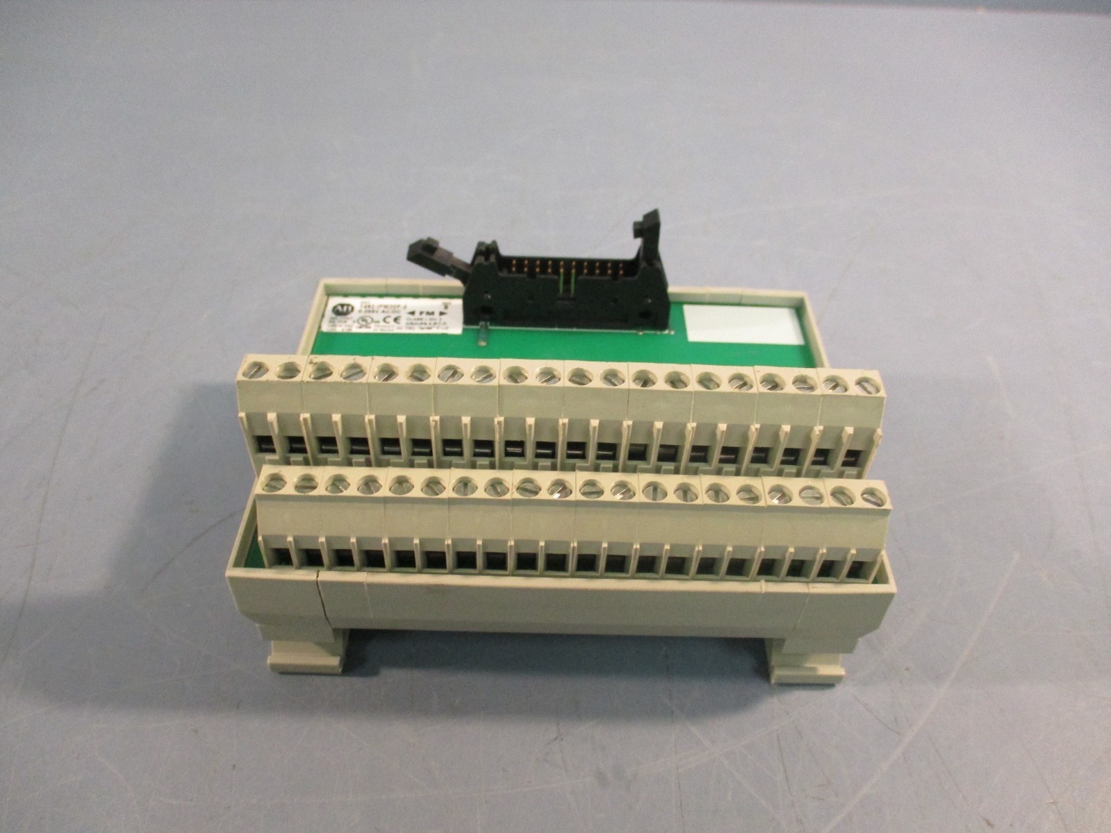Allen-Bradley 1492-IFM20F-2 DIigital Interface Module 20-point Series B