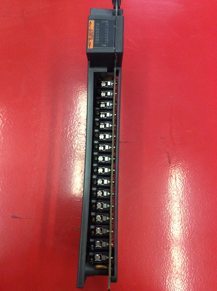 Allen Bradley Isolated 120V AC Output Module 1771-OD16 Series B