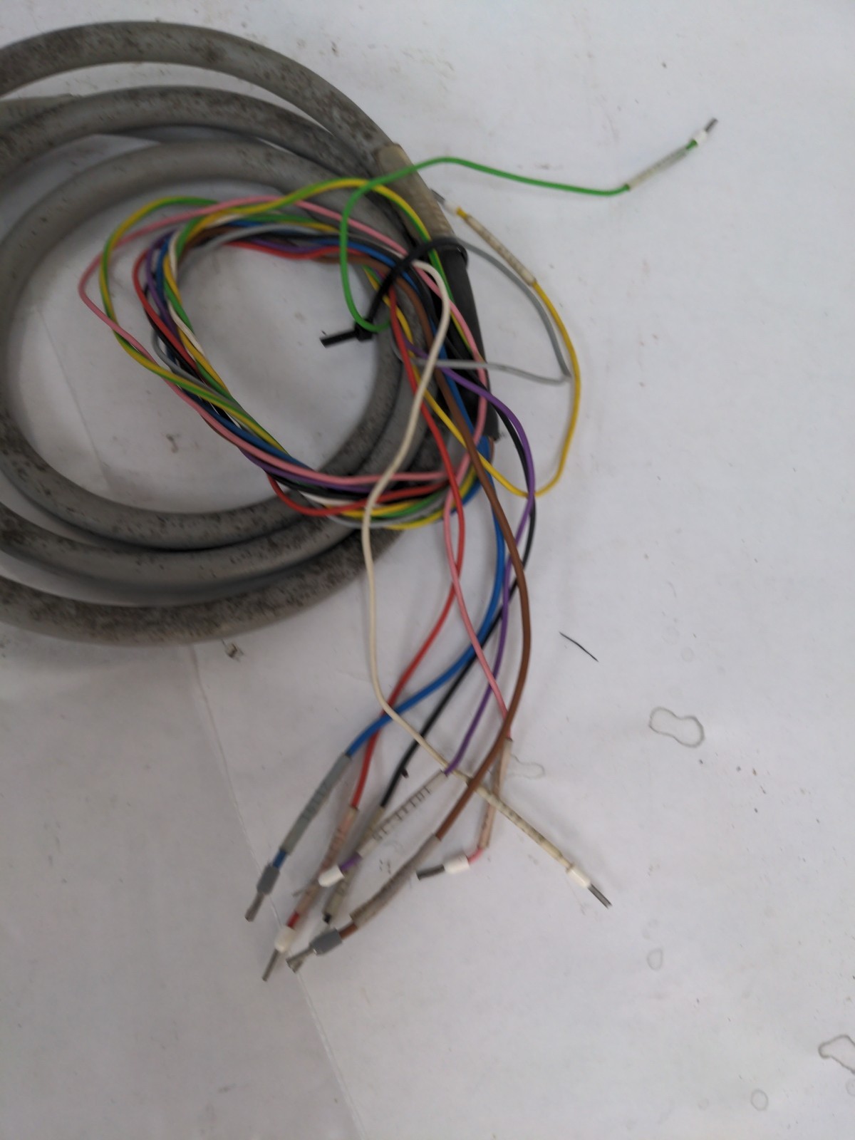MURR ELEKTRONIK 24VDC COMPACT MODULE