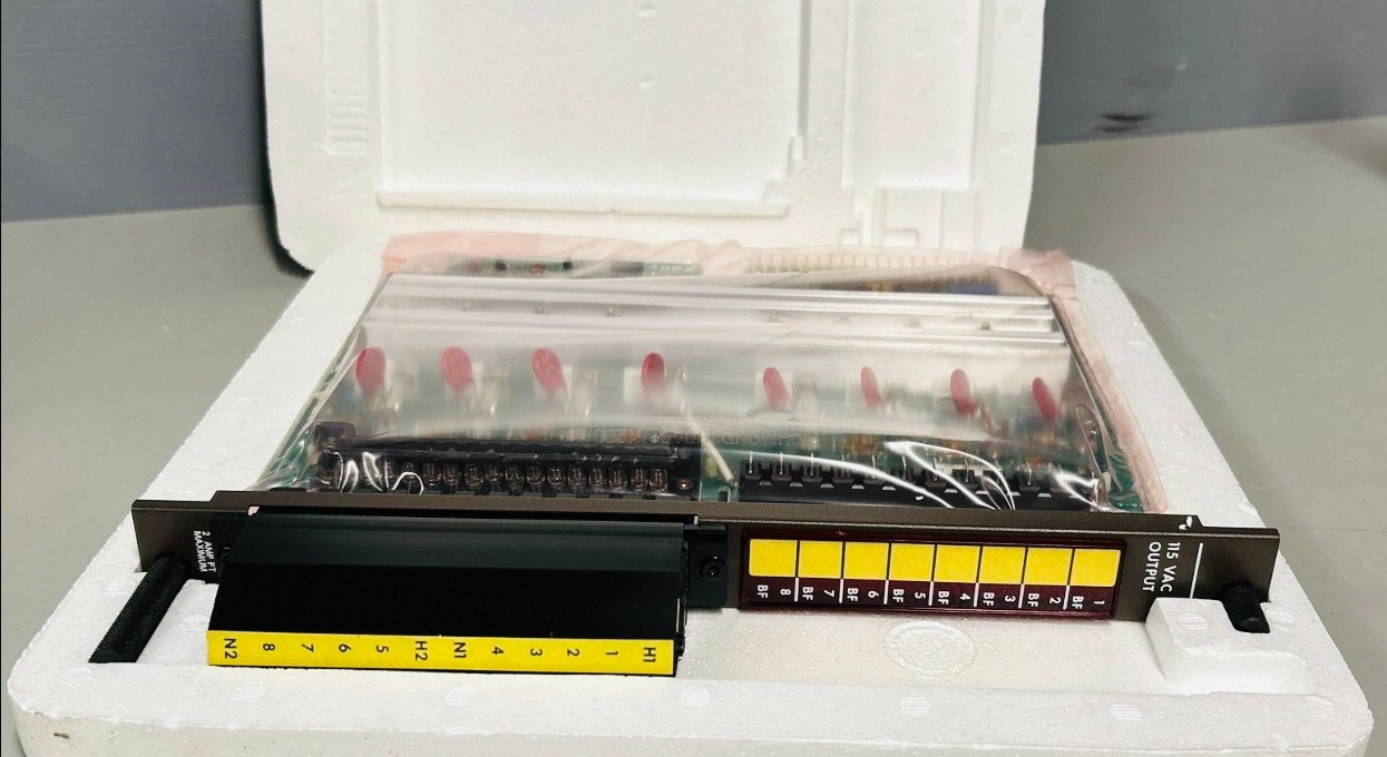 GE Series Six IC600 BF LX 904B PLC Output Module 115V w/ Case & Faceplate Clean